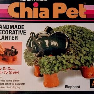 Elephant chia pet
